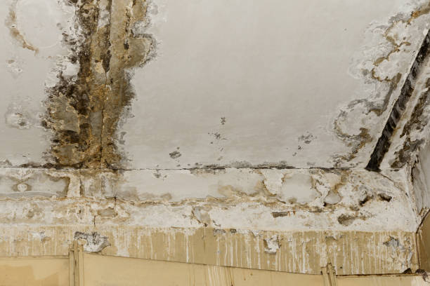 Best Indoor Air Quality Assessment  in Limon, CO