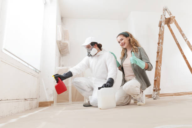 Best Mold Remediation for Healthcare Facilities  in Limon, CO